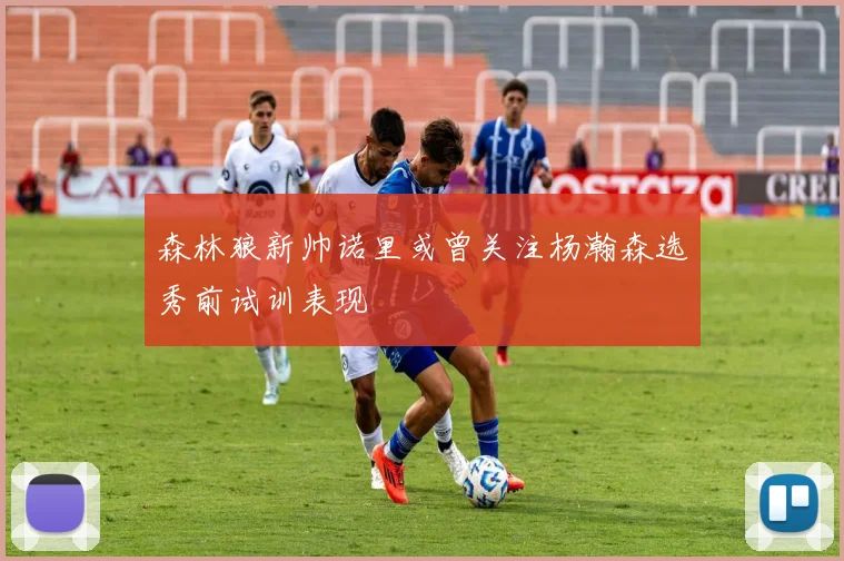 森林狼新帅诺里或曾关注杨瀚森选秀前试训表现